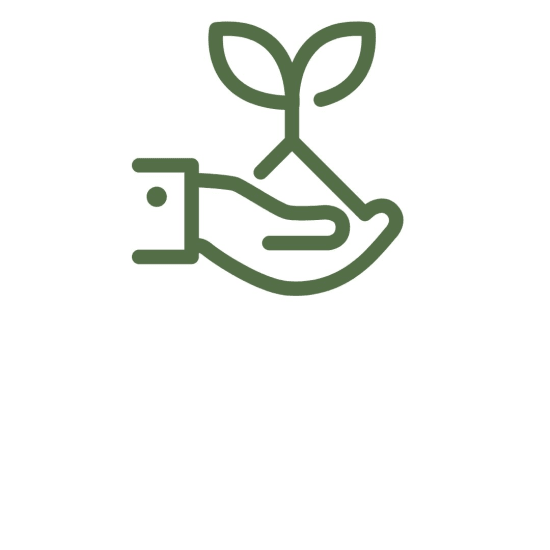 Green line icon of a hand holding a sprouting plant.