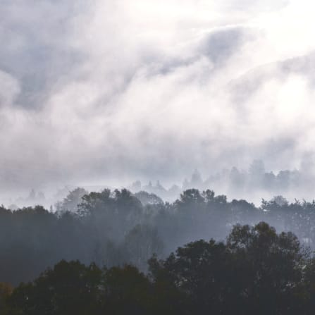 Dr. Hauschka Climate Neutral, clouds and mountains