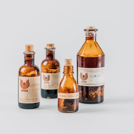 click to learn more about Dr. Rudolf Hauschka