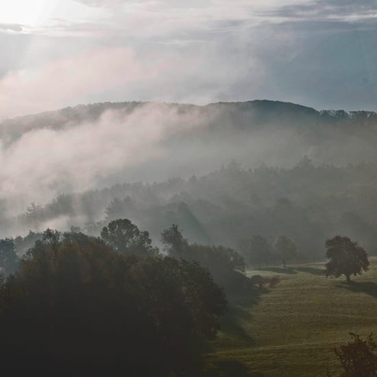 Misty morning landscape with rolling wooded hills and a sunlit grassy field.