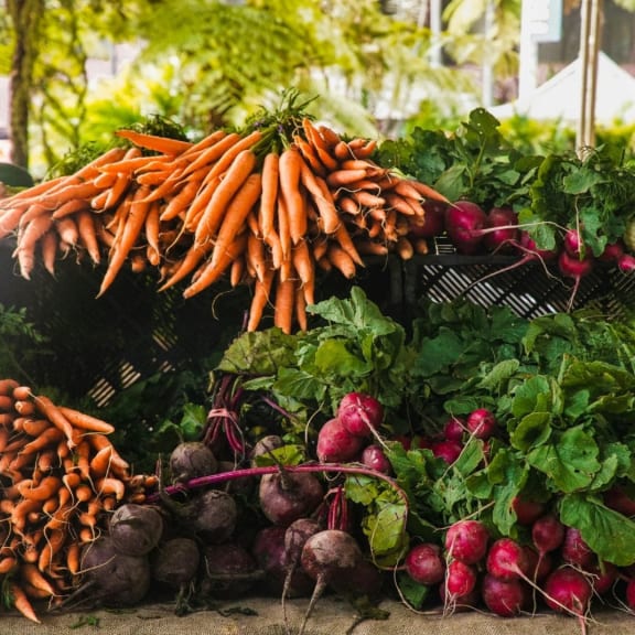 vegetable garden with carrots and beets