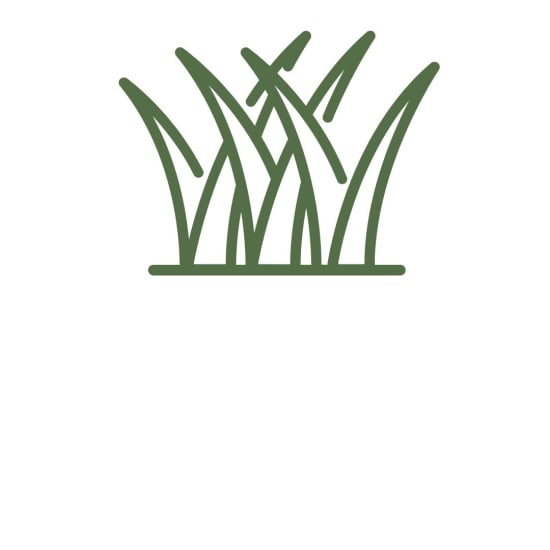 Simple green icon of tall grass blades on a white background.