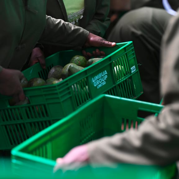 People in market holding avocados in baskets.