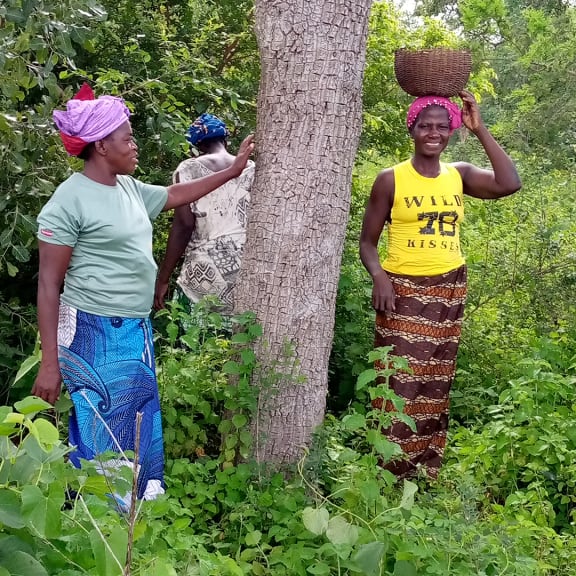 Three women in colourful wraps stand in dense greenery by a tree, one balancing a basket on her head.