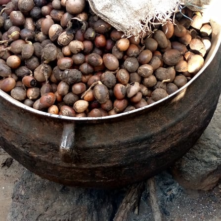 click to learn more about shea butter