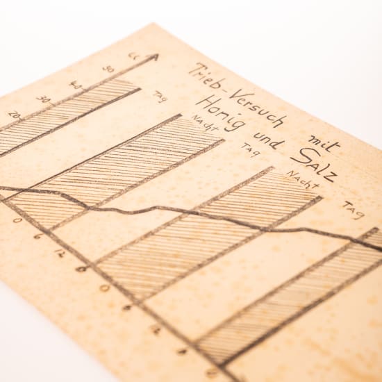Diagram from Dr. Hauschka's honey salt bread experiment.