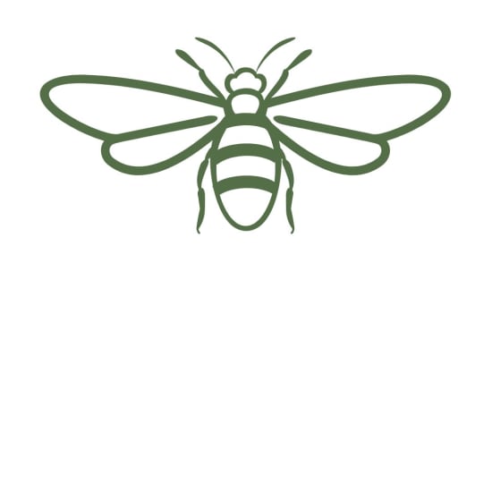 Green line-art bee icon with spread wings on a white background.