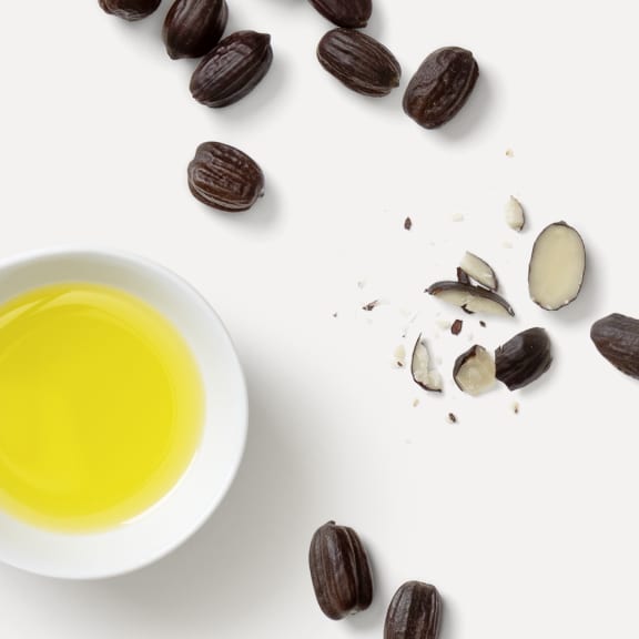 Dark beans and bean pieces scattered around a bowl of bright yellow oil on a white background.