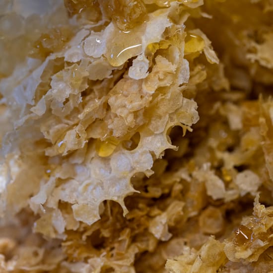 Honeycomb