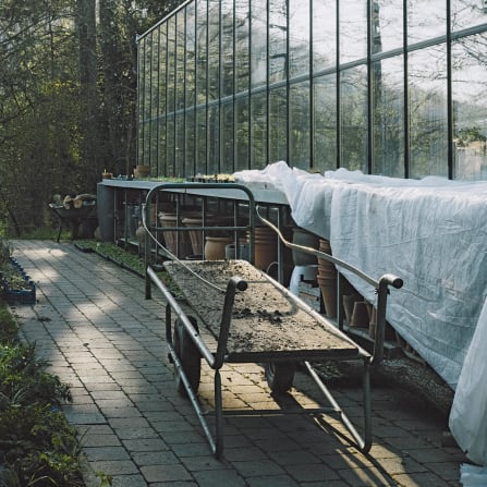 Greenhouse garden with a plant bench in the foreground, potted plants under a white tarp, and sunlight on the path.