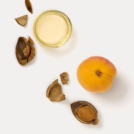 Apricot and cracked kernels around a small glass dish of pale apricot kernel oil on a white background.