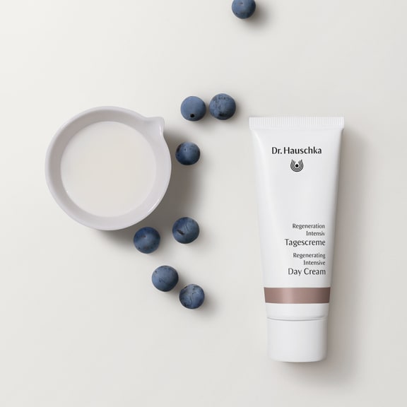 Dr. Hauschka Regenerating Intensive Day Cream tube beside a white dish and scattered blueberries on a pale background.