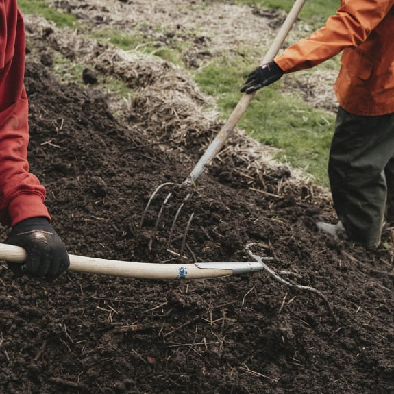 Two people tilling soil in a garden.