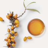 click to learn more about our ingredients