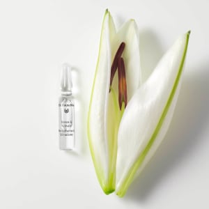 Dr. Hauschka Renew & Activate Ampoules