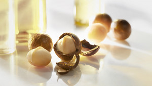 Dr. Hauschka Ingredients A to Z Dr. Hauschka Ingredients A to Z