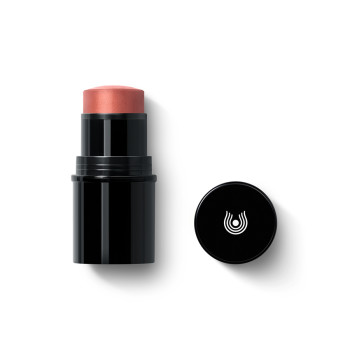 Lip to Cheek – Blush Stick Lip to Cheek – Blush Stick