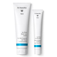 Ice Plant Hand & Body Duo Ice Plant Hand & Body Duo
