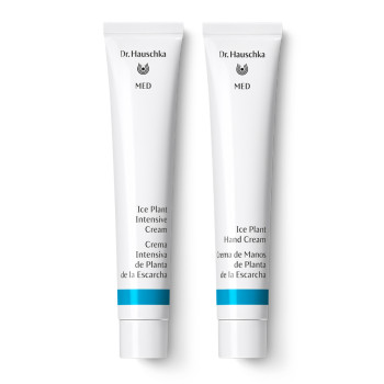 Ice Plant Intensive Face & Hand Duo
