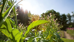 Dr. Hauschka Questions on the environment Dr. Hauschka Questions on the environment